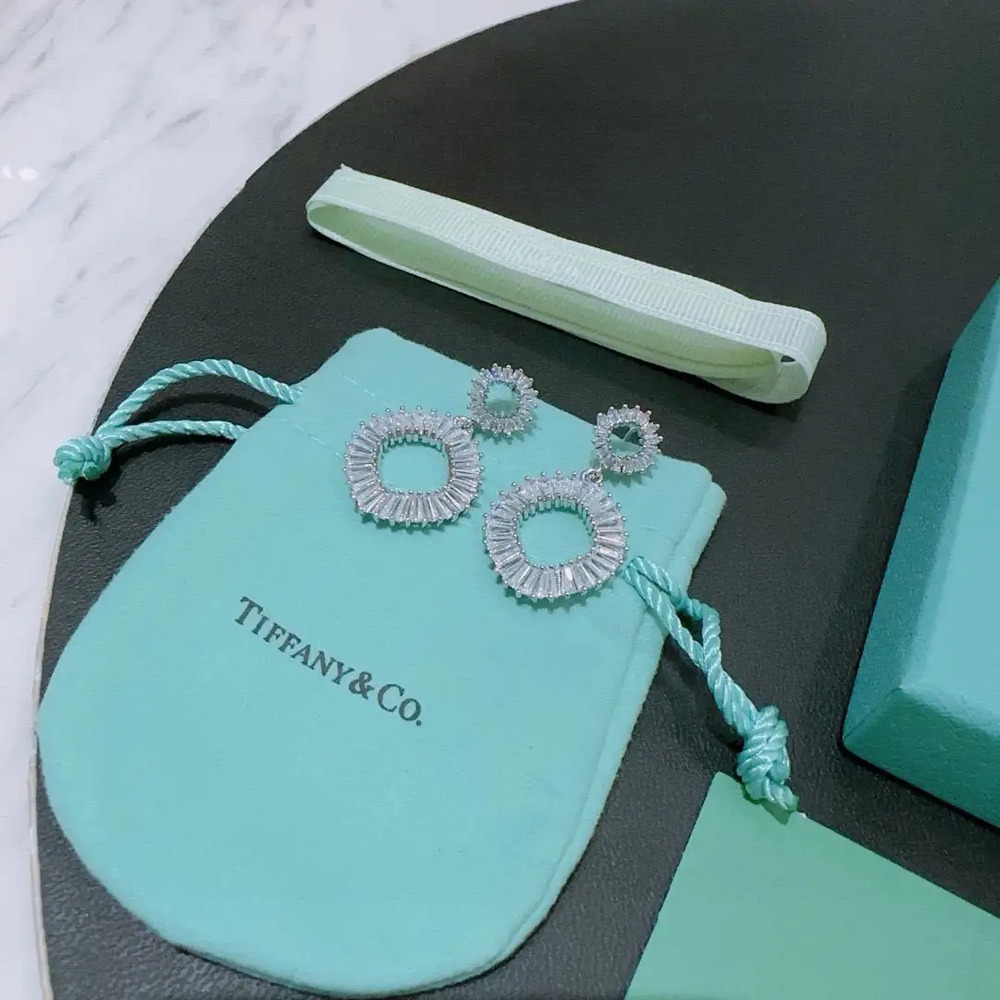 Tiffany & Co. Classic Fashion Earrings